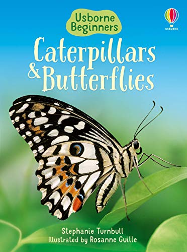 Beispielbild fr Caterpillars and Butterflies zum Verkauf von Blackwell's