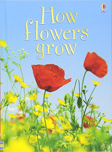 Beispielbild fr How Flowers Grow: 1 (Beginners) zum Verkauf von WorldofBooks