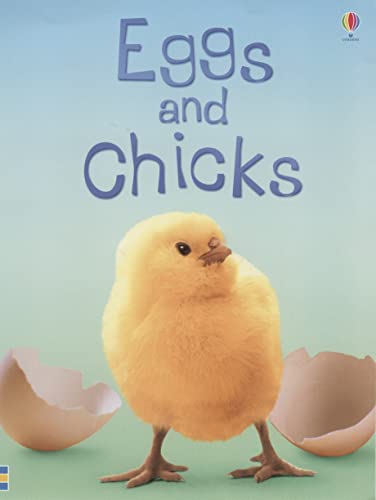Beispielbild fr Eggs and Chicks (Beginners) zum Verkauf von WorldofBooks