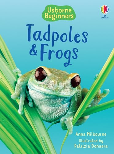 9780746074558: Tadpoles and Frogs (Beginners)