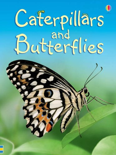 9780746074565: Caterpillars and Butterflies (Beginners)
