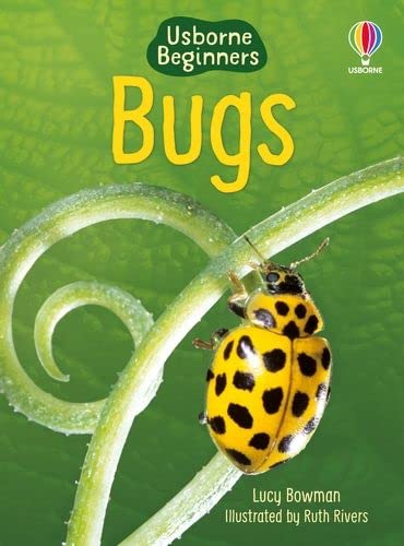 Beispielbild fr Bugs (Usborne Beginners) zum Verkauf von WorldofBooks