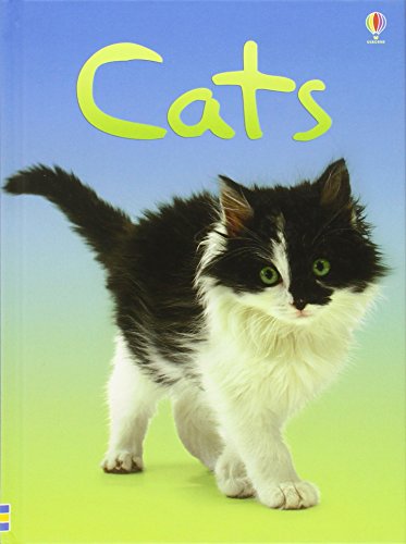 Imagen de archivo de Cats (Beginners) a la venta por Better World Books: West