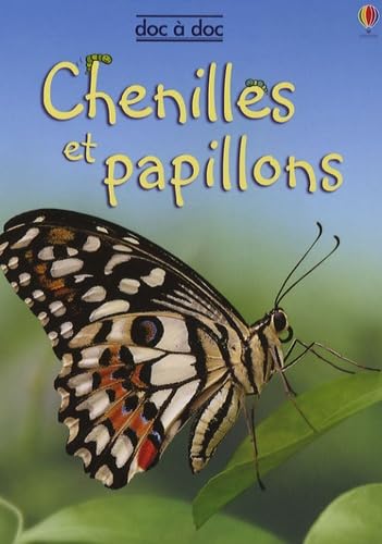 Stock image for Chenilles et papillons for sale by Librairie Th  la page