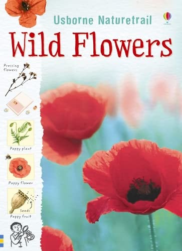 Stock image for Flowers for sale by Better World Books Ltd