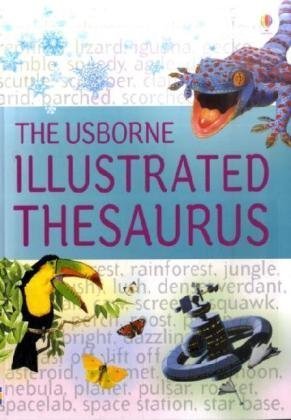 Beispielbild fr Illustrated Thesaurus (Usborne Illustrated Dictionaries) (Usborne Illustrated Dictionaries) zum Verkauf von SecondSale