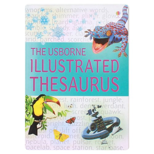 9780746087169: Illustrated Thesaurus (Usborne Illustrated Dictionaries) (Usborne Illustrated Dictionaries)