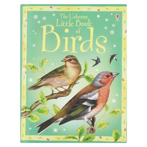 Stock image for Little Book of Birds (Usborne Little Books) for sale by Reuseabook