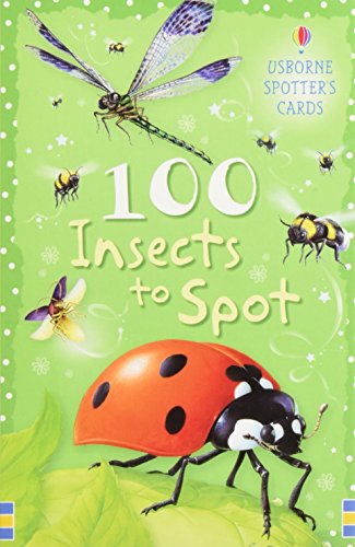 100 Insects to Spot (Usborne Spotter's Cards) (9780746089798) by Kirsteen Rogers