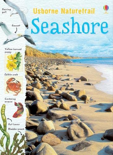 Beispielbild fr Seashore (Usborne Nature Trail) zum Verkauf von WorldofBooks