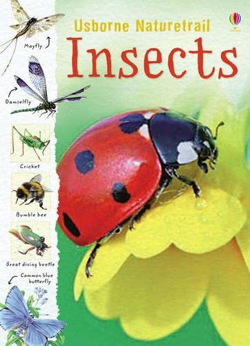 Beispielbild fr Insects (Usborne Nature Trail) zum Verkauf von WorldofBooks