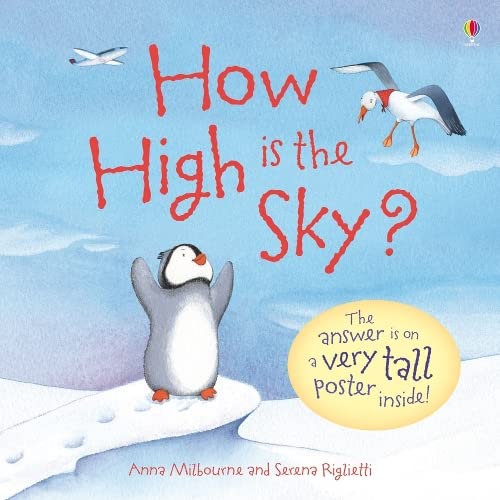 9780746095843: How High is the Sky? (Usborne Picture Storybooks)