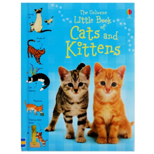 9780746096000: Little Book of Cats and Kittens (Little Books)