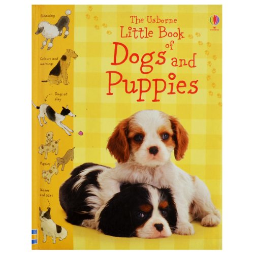 Stock image for Little Book of Dogs and Puppies for sale by Better World Books: West