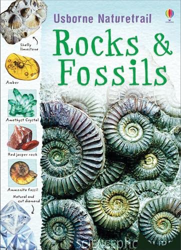 9780746096338: Rocks, Minerals and Fossils (Usborne Nature Trail)