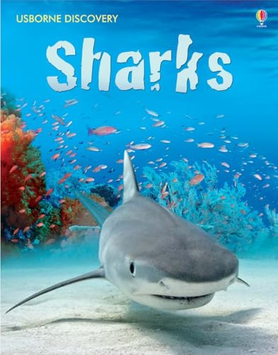 Beispielbild fr Sharks (Usborne Discovery) zum Verkauf von WorldofBooks