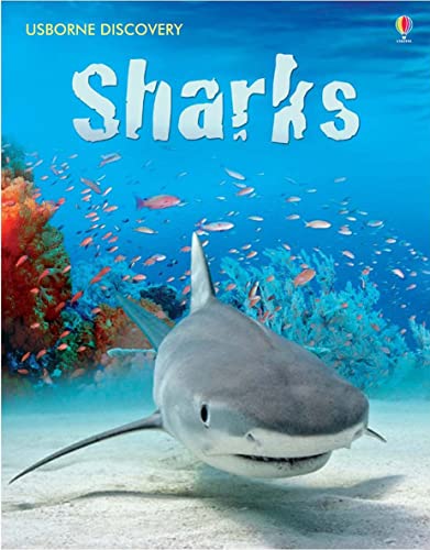 Imagen de archivo de Sharks (Usborne Discovery) a la venta por WorldofBooks