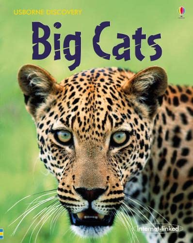 Beispielbild fr Big Cats (Usborne Discovery) zum Verkauf von Goldstone Books