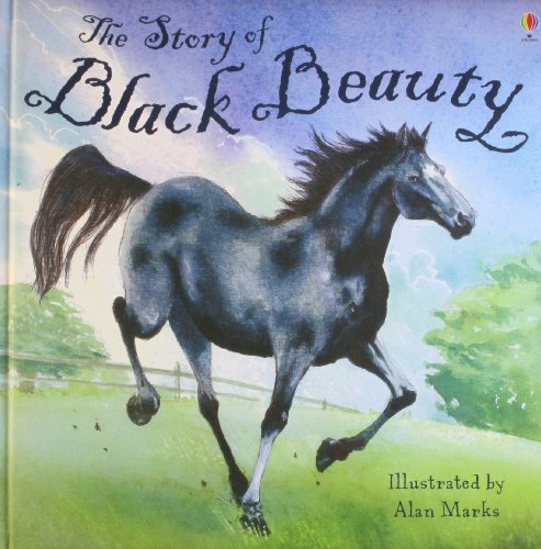 Stock image for Black Beauty (Usborne Picture Storybooks) (Picture Books) for sale by AwesomeBooks