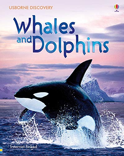 Beispielbild fr Whales and Dolphins (Discovery) zum Verkauf von Better World Books