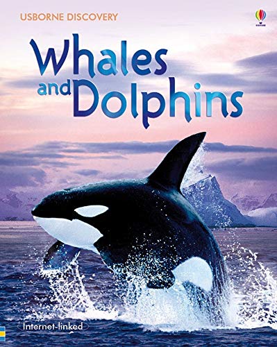 9780746098219: Discovery Whales and Dolphins