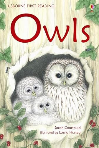 Imagen de archivo de Owls (First Reading Level 4) a la venta por WorldofBooks