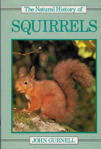 The Natural History Of Squirrels By Gurnell J Abebooks