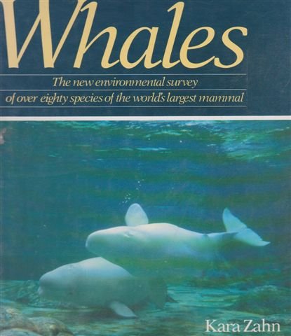 Stock image for Whales for sale by WorldofBooks
