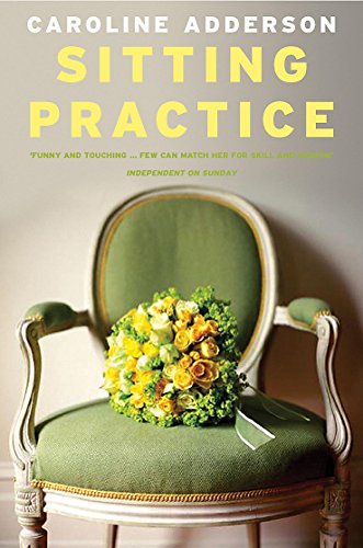 Stock image for Sitting Practice for sale by Cathy's Half Price Books