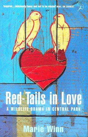 Imagen de archivo de Red-tails in Love: A Wildlife Drama in Central Park a la venta por WorldofBooks