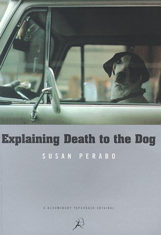 Explaining Death to the Dog (Bloomsbury Paperbacks) (9780747544371) by Susan Perabo