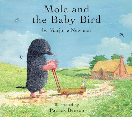 Beispielbild fr Mole and the Baby Bird zum Verkauf von WorldofBooks