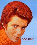 Stock image for Bad Hair for sale by SecondSale