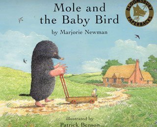 Beispielbild fr Mole and the Baby Bird zum Verkauf von New Legacy Books