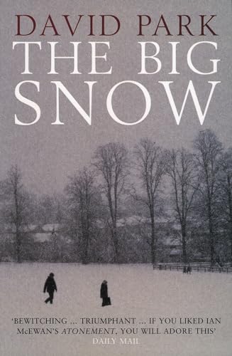 The Big Snow (9780747561415) by David Park