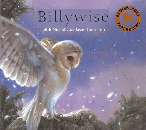 Billywise (9780747569084) by Nicholls, Judith