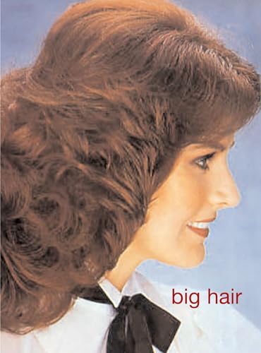 Beispielbild fr Big Hair zum Verkauf von Wonder Book
