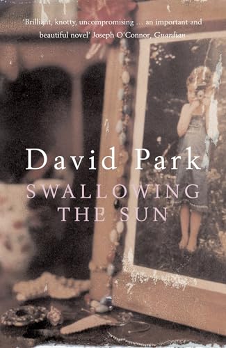 Swallowing the Sun (9780747574170) by David Park