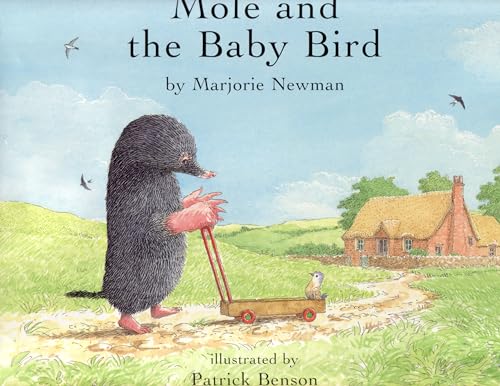 Stock image for Mole and the Baby Bird for sale by WorldofBooks
