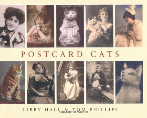 Imagen de archivo de Postcard Cats: (E) a la venta por WorldofBooks