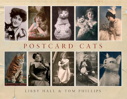 Stock image for Postcard Cats for sale by Ergodebooks