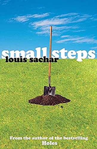 Stock image for Small Steps for sale by WorldofBooks