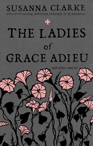 Beispielbild fr The Ladies of Grace Adieu zum Verkauf von AwesomeBooks