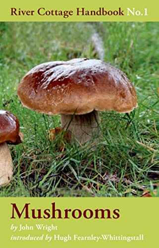 Imagen de archivo de The River Cottage Mushroom Handbook a la venta por Blackwell's