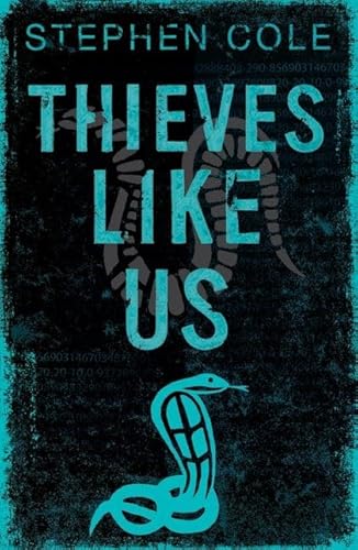 Beispielbild fr Thieves Like Us zum Verkauf von SecondSale