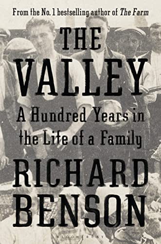 Stock image for The Valley: A Hundred Years in the Life of a Family for sale by Richard Sylvanus Williams (Est 1976)