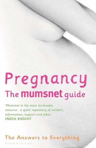 Imagen de archivo de Pregnancy: The Mumsnet Guide: The Answers to Everything a la venta por AwesomeBooks