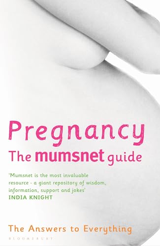 Stock image for Pregnancy: The Mumsnet Guide: The Answers to Everything for sale by WorldofBooks