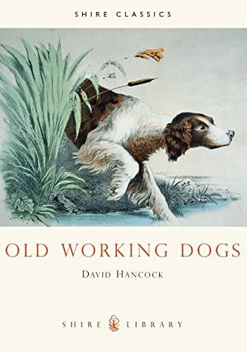 Beispielbild fr Old Working Dogs (Shire Library) zum Verkauf von WorldofBooks