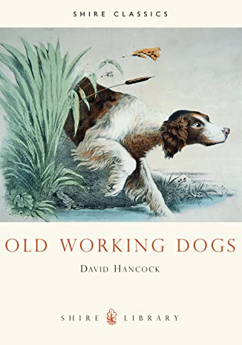 Old Working Dogs (Shire Library) (9780747803768) by Hancock, David